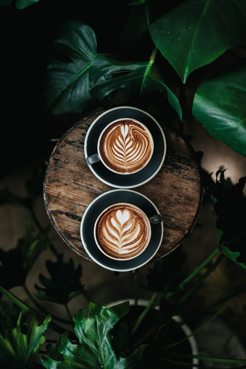 10 Coffee, mocha latte HD phone wallpaper