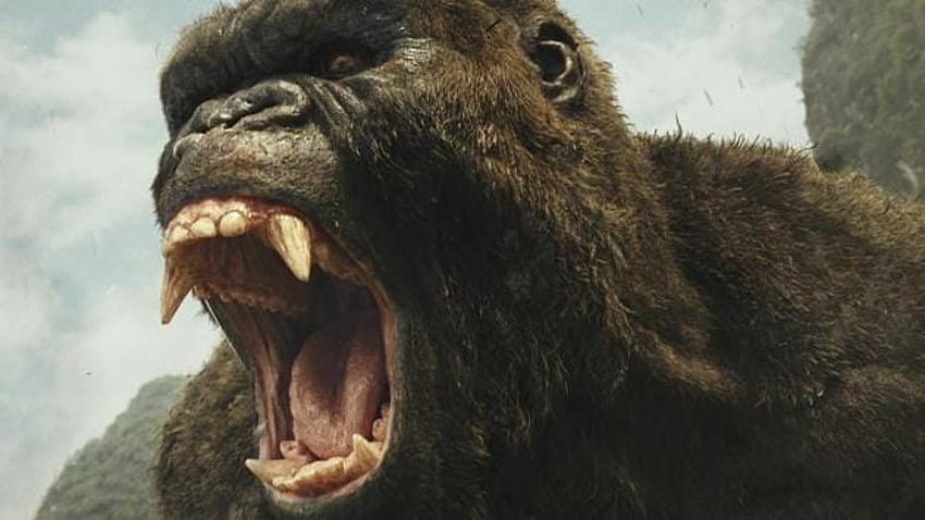 Ungeziefer sorgten dafür, dass Samuel L. Jackson sich beim Dreh für „Kong: Skull Island“ unwohl fühlte HD-Hintergrundbild