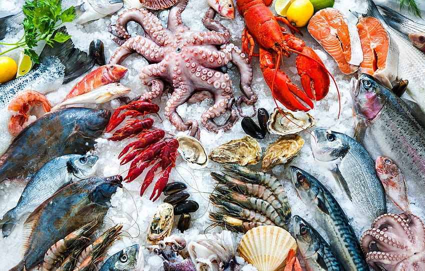 Meeresfrüchte, Fischmarkt HD-Hintergrundbild