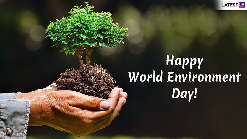 Selamat Hari Lingkungan Sedunia 2021 Kutipan dan Harapan WED: Stiker WhatsApp, Slogan, GIF, SMS, dan Pesan untuk Mengucapkan Selamat kepada Semua Orang di Vishwa Paryavaran Diwas! Wallpaper HD