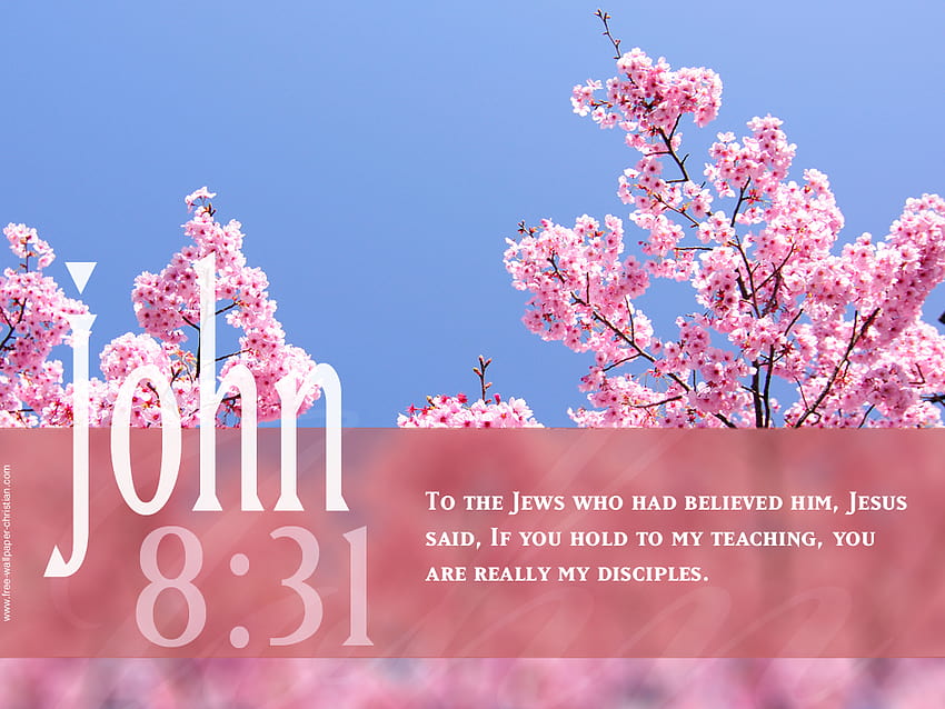 Bibelzitate mit Hintergründen Bibelzitate [1024x768] für Ihr Mobilgerät und Tablet, Frühlingsschrift HD-Hintergrundbild