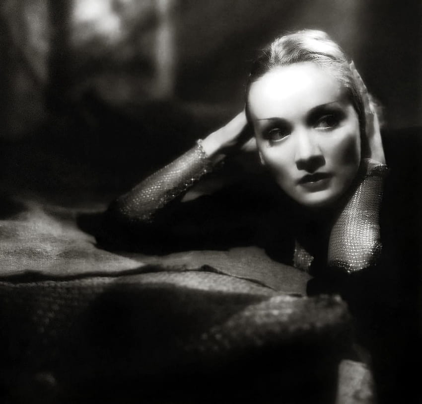 Marlene Dietrich HD wallpaper