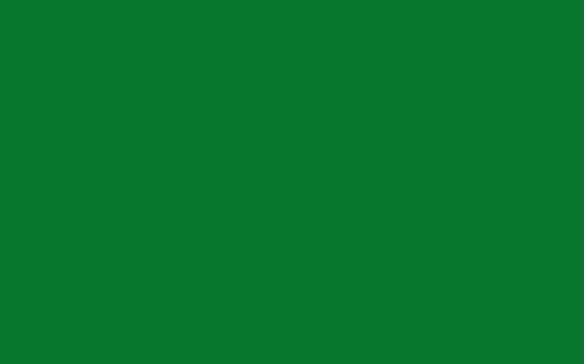 Hijau Solid, hijau polos Wallpaper HD