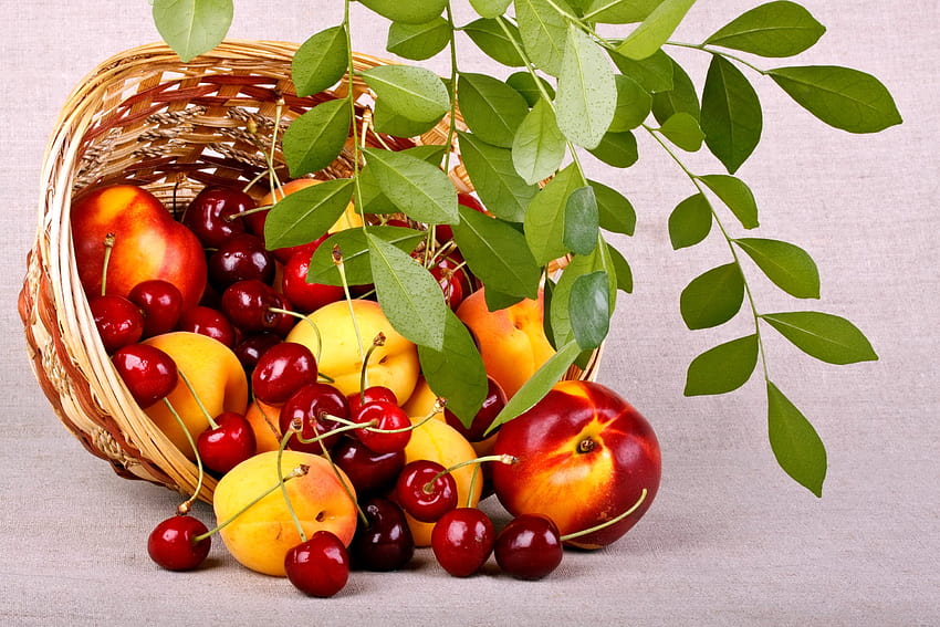 3347210 Nectarines, Basket, Cherry and backgrounds HD wallpaper