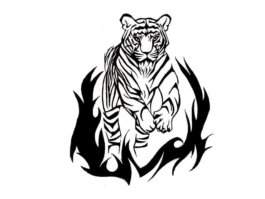 160 Drawing Of Simple Tiger Tattoo Illustrations RoyaltyFree Vector  Graphics  Clip Art  iStock
