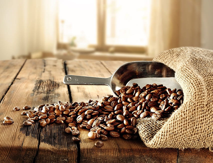 가방 커피 콩 어깨 커피 곡물 음식 나무 널빤지, 가방에 콩 HD 월페이퍼