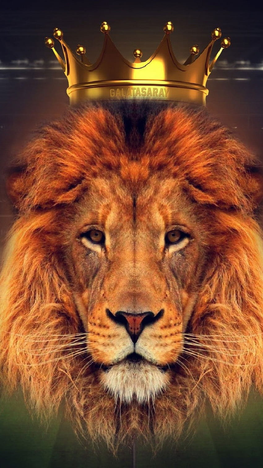 Lion King Crown Animals, lion crown HD phone wallpaper