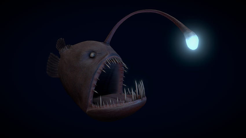 Angler Fish Group 38 [1920x1080] for your , Mobile & Tablet, scary fish HD wallpaper