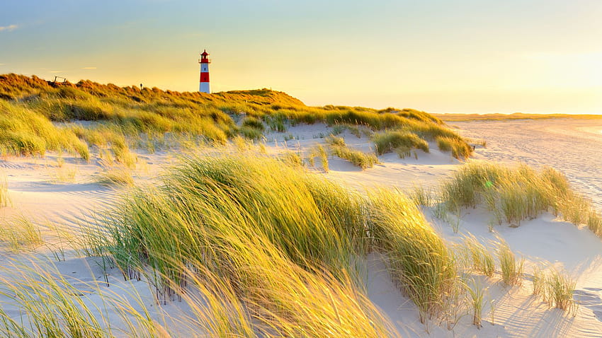 Sylt: sport, nature and fine dining in the North Sea HD wallpaper