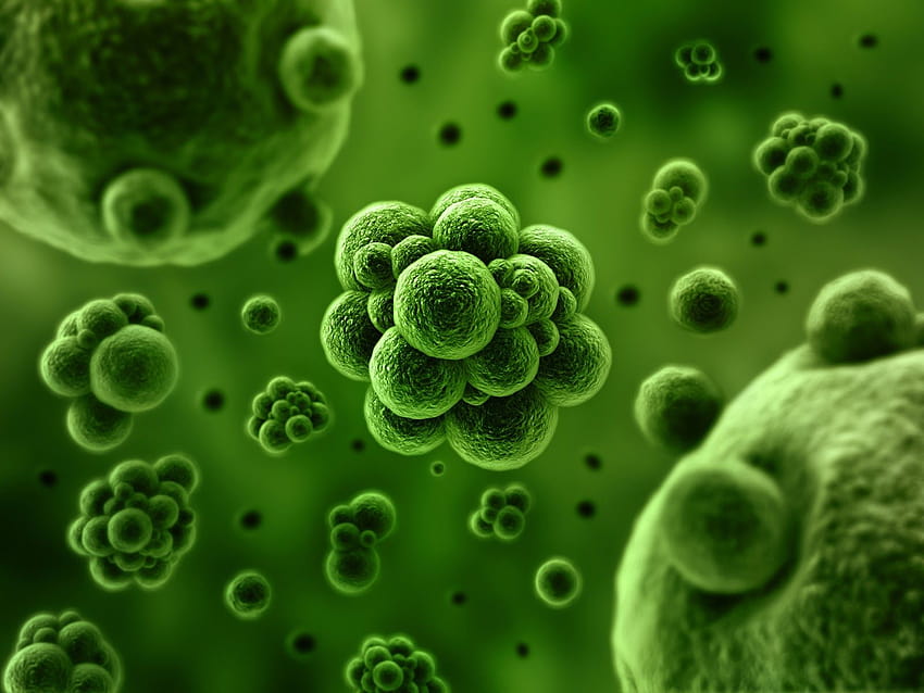 Bacteria Backgrounds posted by Zoey Johnson, germs HD wallpaper