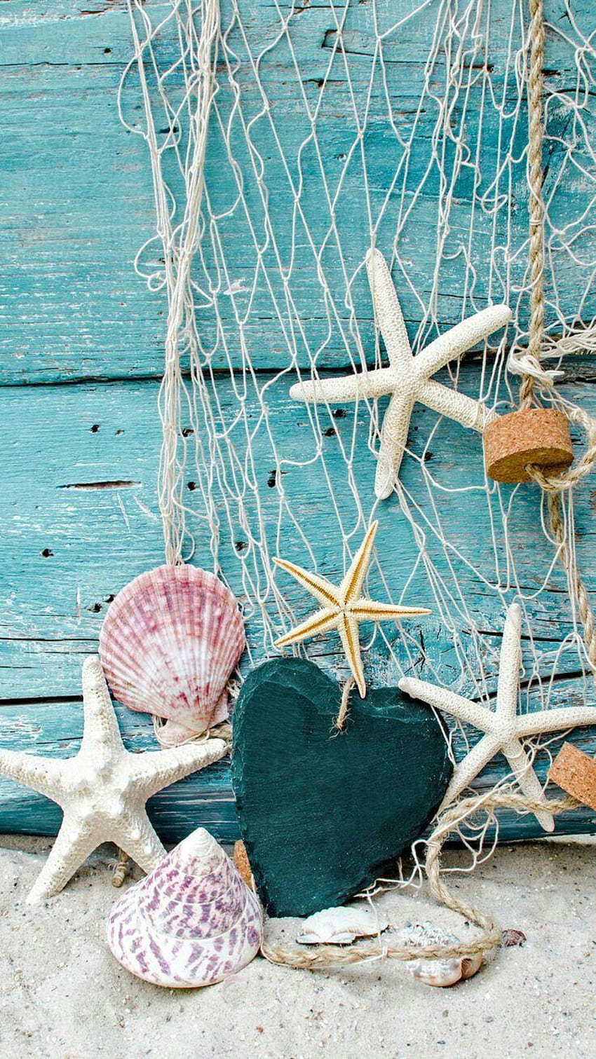 なんときれいな海の網、ホタテの貝殻とヒトデ、携帯電話の海と貝殻 HD電話の壁紙