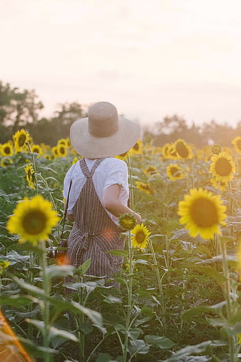 5 Tips for a Sustainable Autumn – The Green Dandelion