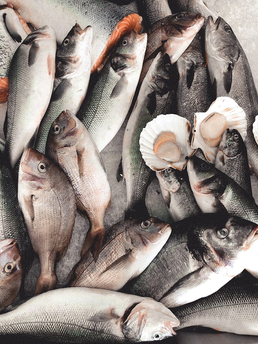 Peixaria, mercado de peixe Papel de parede de celular HD