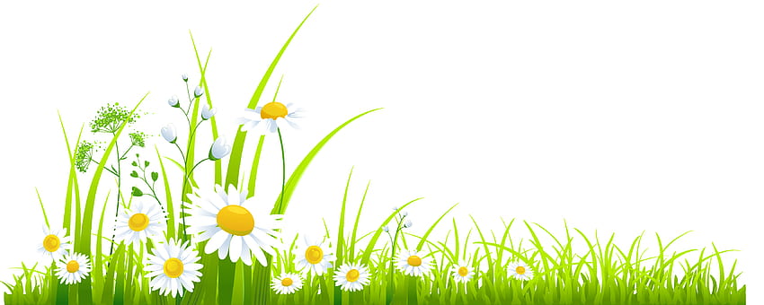 Spring Border Png, Spring Border Png png , ClipArts on Clipart Library, spring page border HD wallpaper