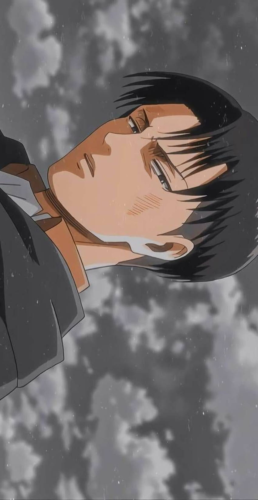 Hình nền  Anime Shingeki không Kyojin rừng nhiệt đới Truyện tranh Thần  thoại Levi Ackerman Levi Rivaille Ảnh chụp màn hình Nữ chiến binh  1400x950  lagito37  156708  Hình nền đẹp hd  WallHere