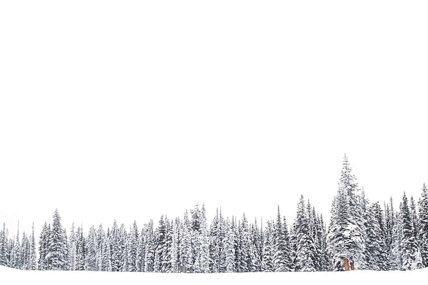 Бяла зима, публикувано от Райън Томпсън, минимална зимна естетика HD тапет