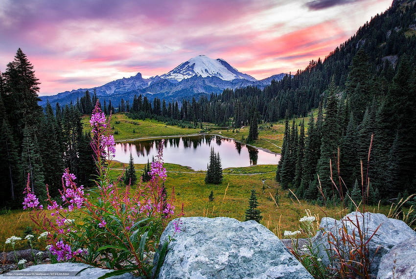 Mount Rainier National Park, Tipsoo Lake, sunset, mount rainier np HD ...