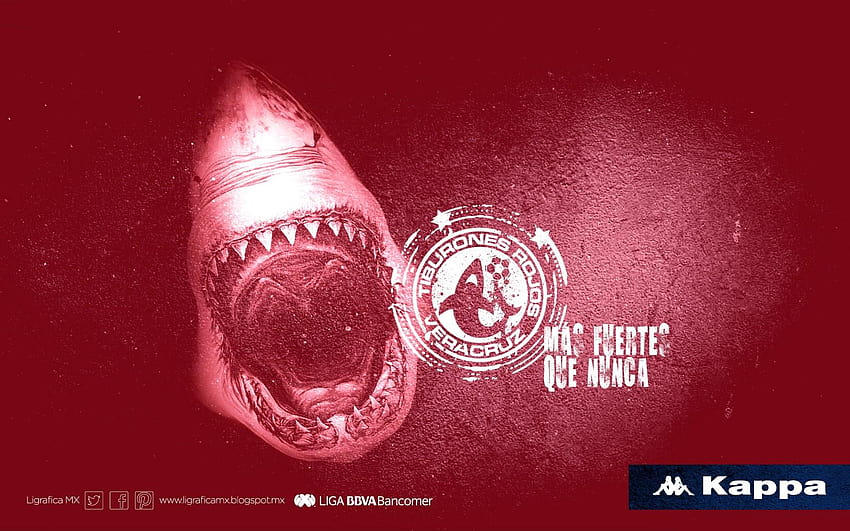 Ligrafica MX: ¡Más fuertes que nunca! • Tiburones Rojos • 130114CTG、tiburones rojos de veracruz 高画質の壁紙