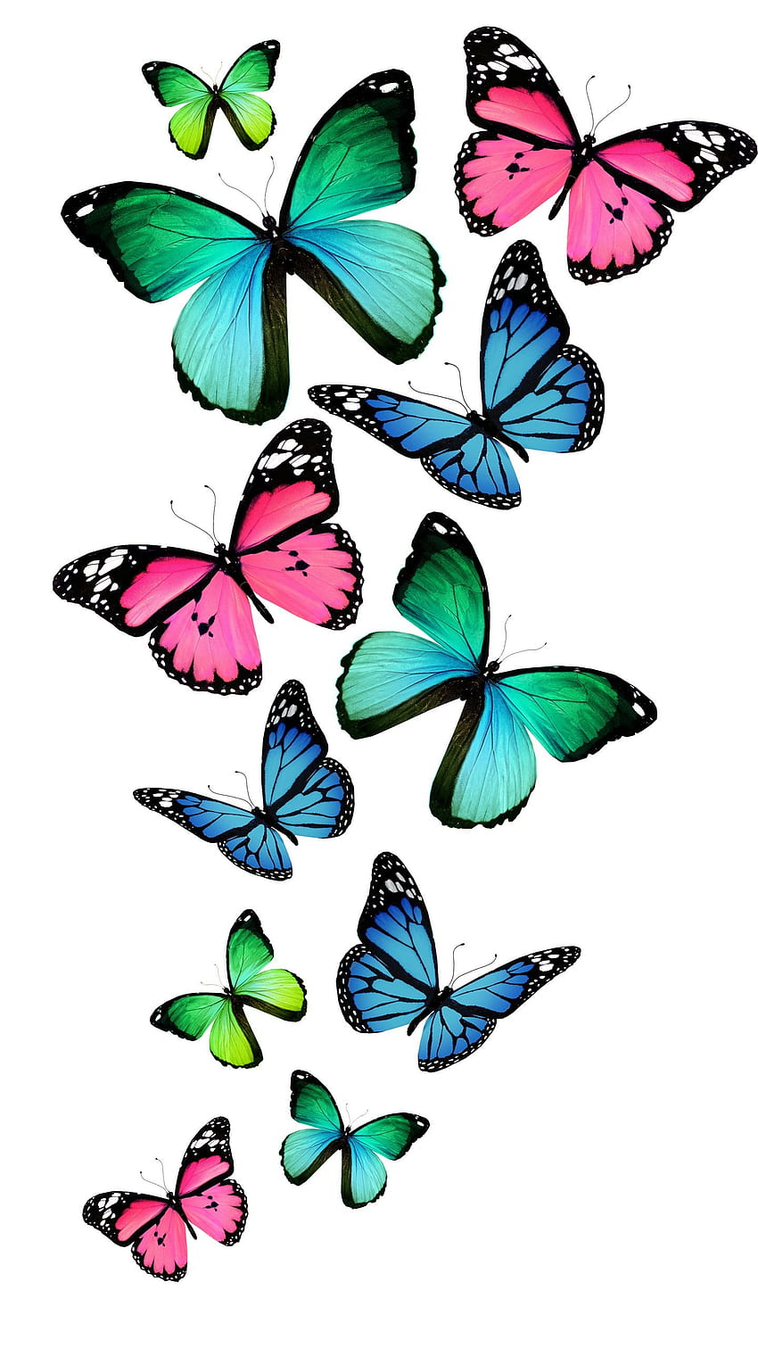Bunte Schmetterlingskunst Nexus 6, Nexus 6 und ... Hintergründe HD-Handy-Hintergrundbild