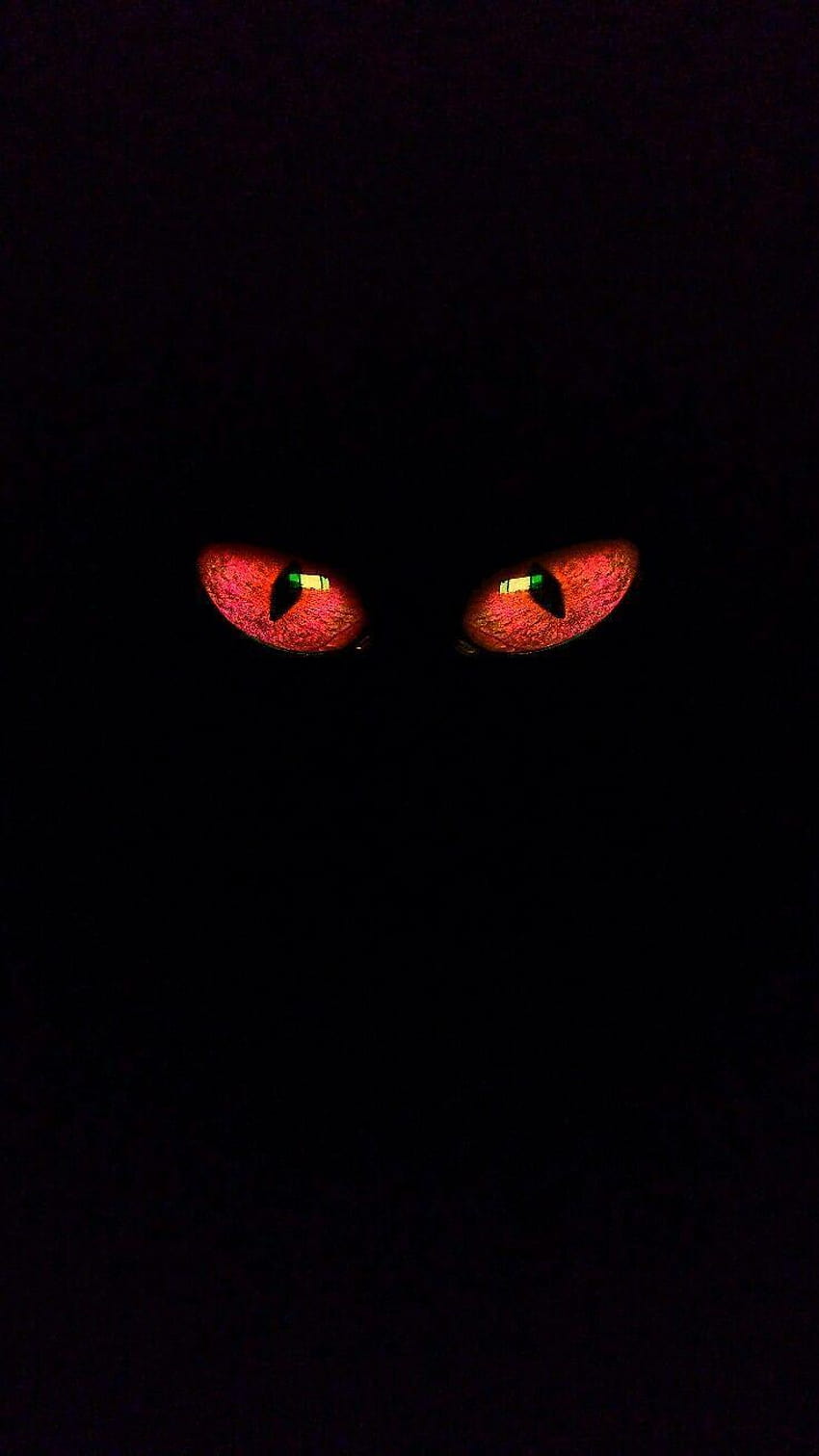 olhos verticais do iPhone 4 vermelhos, olhos vermelhos Papel de parede de celular HD