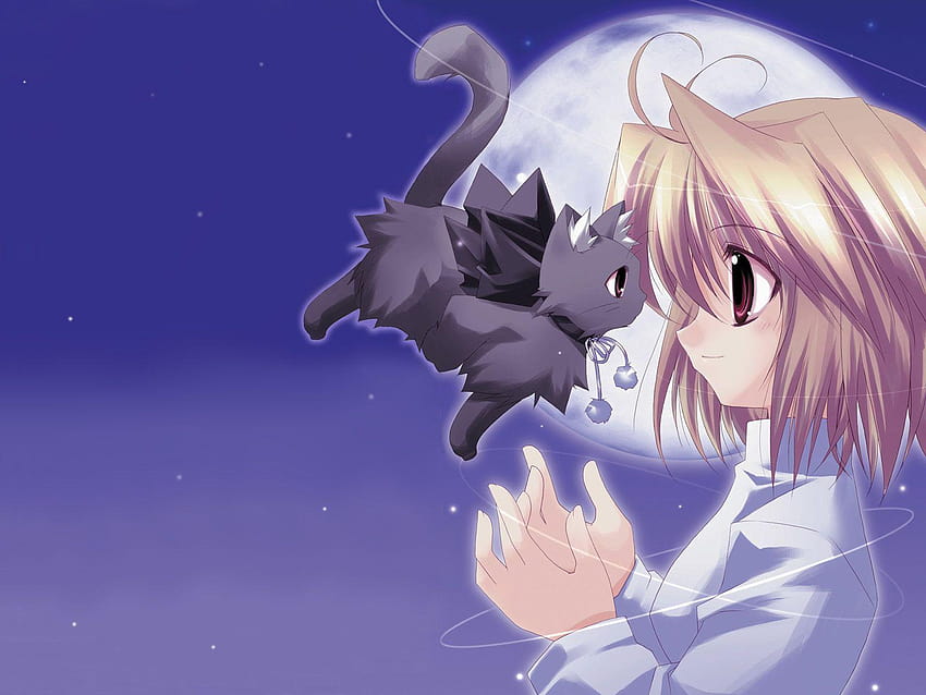 Kawaii Bunny Anime, lindo anime de zorro fondo de pantalla