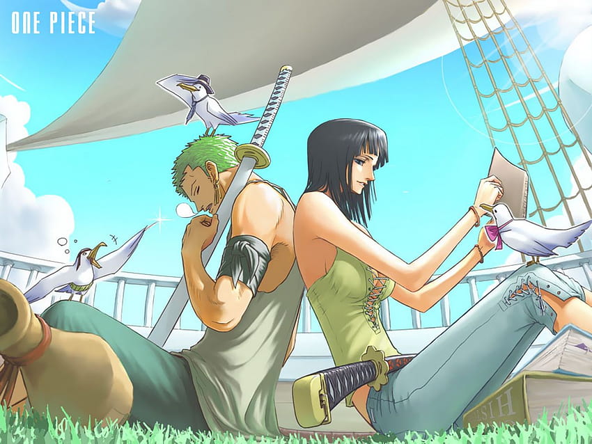 One Piece : *zoro & Robin*, zorobin HD wallpaper