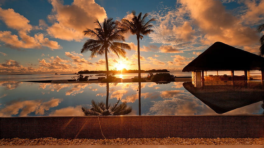 Full ocean palm tonnelle reflet cartagena columbia, Arrière-plans Fond d'écran HD