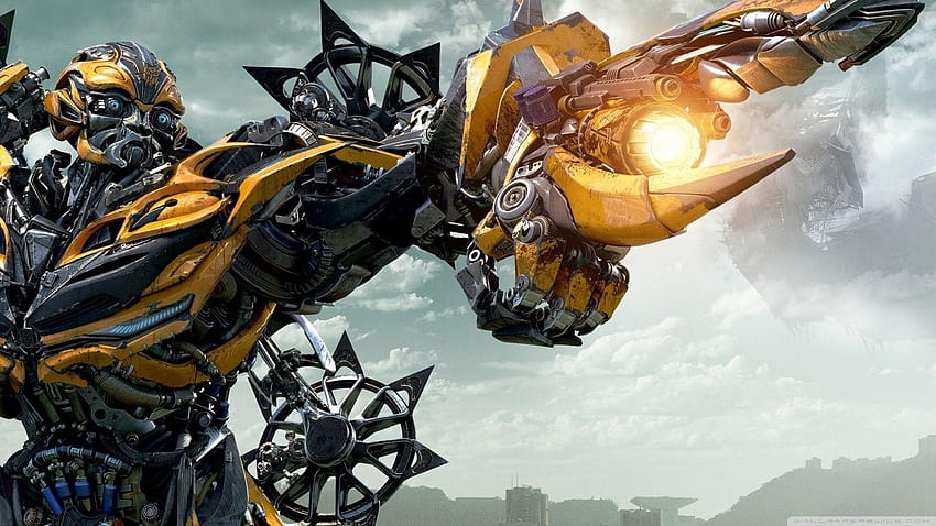 Bumblebee Transformers Age Of Extinction, bumble bee HD wallpaper