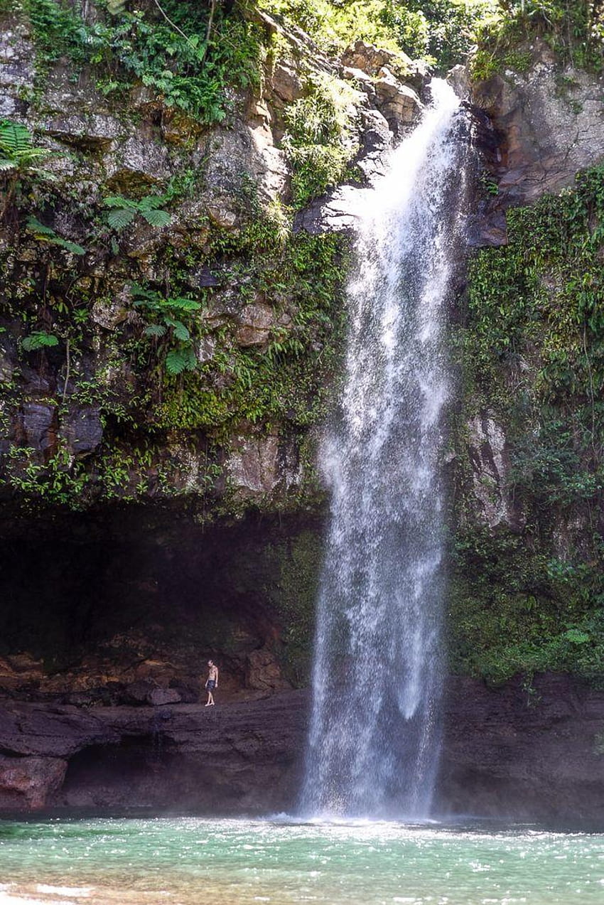 9 best Fiji Waterfalls, bouma national heritage park HD phone wallpaper ...