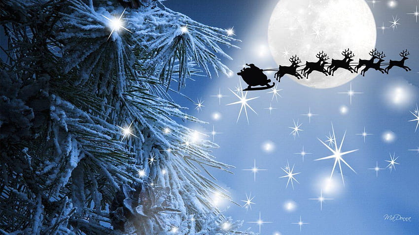 Winter: Christmas Reindeer Sky Beam Night Flight Santas Moon Tree, santas sleigh in the sky HD wallpaper