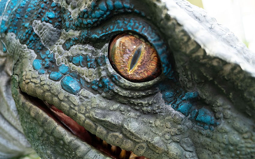 Velociraptor debütiert bei Raptor Encounter ...thesavvypixie, blau der Velociraptor HD-Hintergrundbild