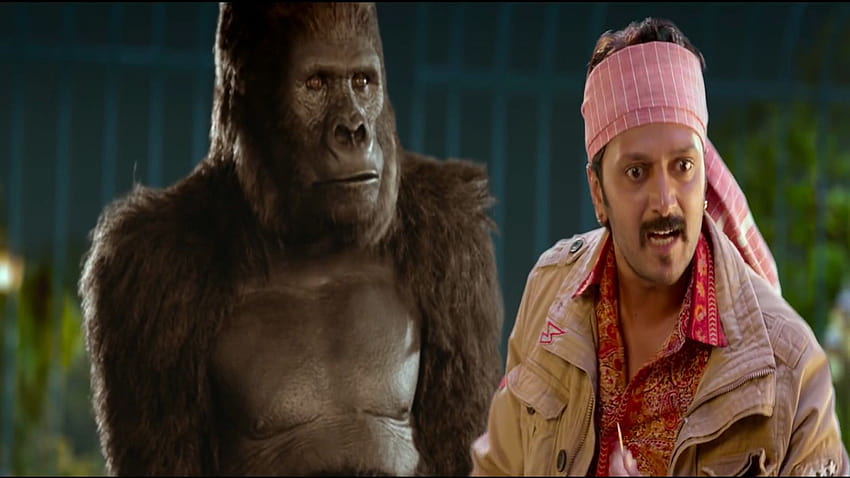 2019 Film Total Dhamaal Funny of Riteish Deshmukh with Chimpanzee HD  wallpaper | Pxfuel
