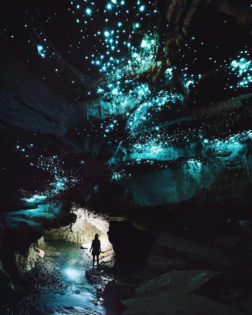 Glow Worm Caves in Waitomo, NZ, arachnocampa HD phone wallpaper