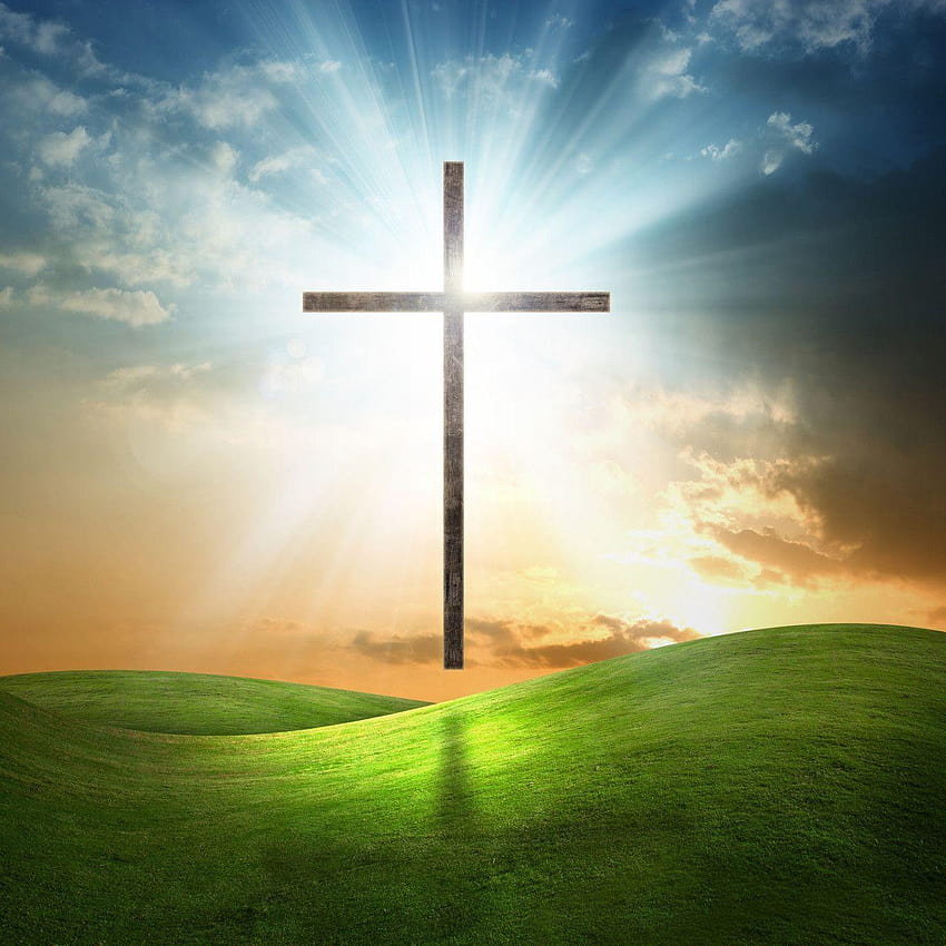 Cruz cristiana sobre de hierba, diseños de cruz cristiana fondo de pantalla del teléfono