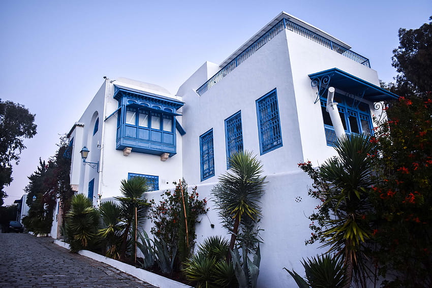 3059381 / blue, blue hour, sidi bou said, tree house, tunisia, white house,  blue house HD wallpaper | Pxfuel