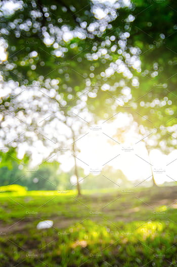 Blurred nature backgrounds featuring park HD wallpapers | Pxfuel