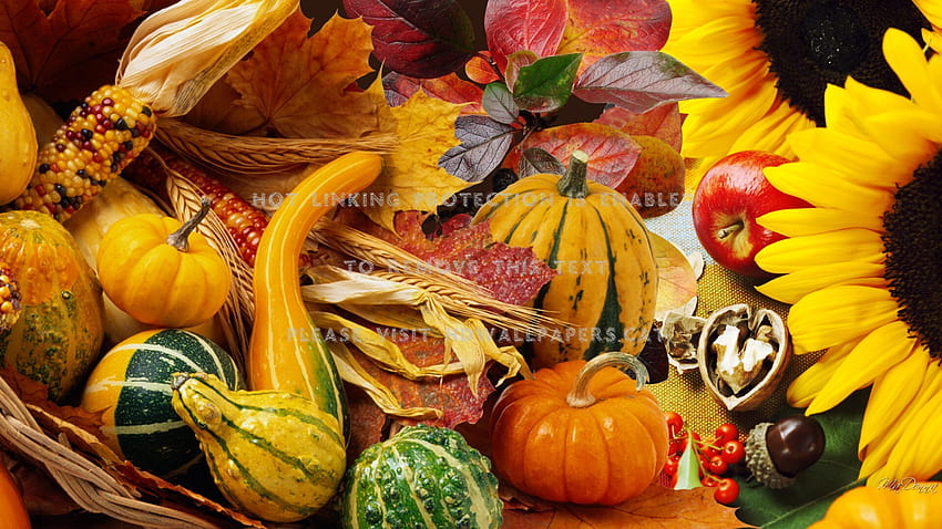 thanksgiving harvest autumn fall leaves, autumn vegetables HD wallpaper