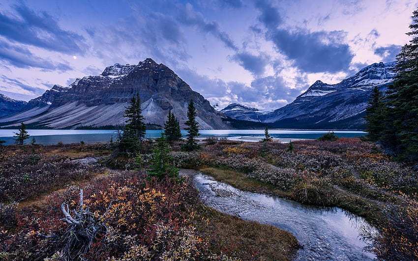 Mountains, trees, Bow Lake, Alberta, Canada, Banff National Park 1920x1200 , bow lake alberta HD wallpaper