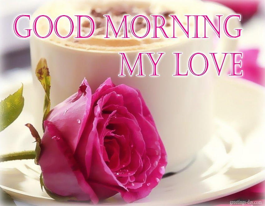 Bons souhaits du matin pour l'amour, amour bonjour Fond d'écran HD