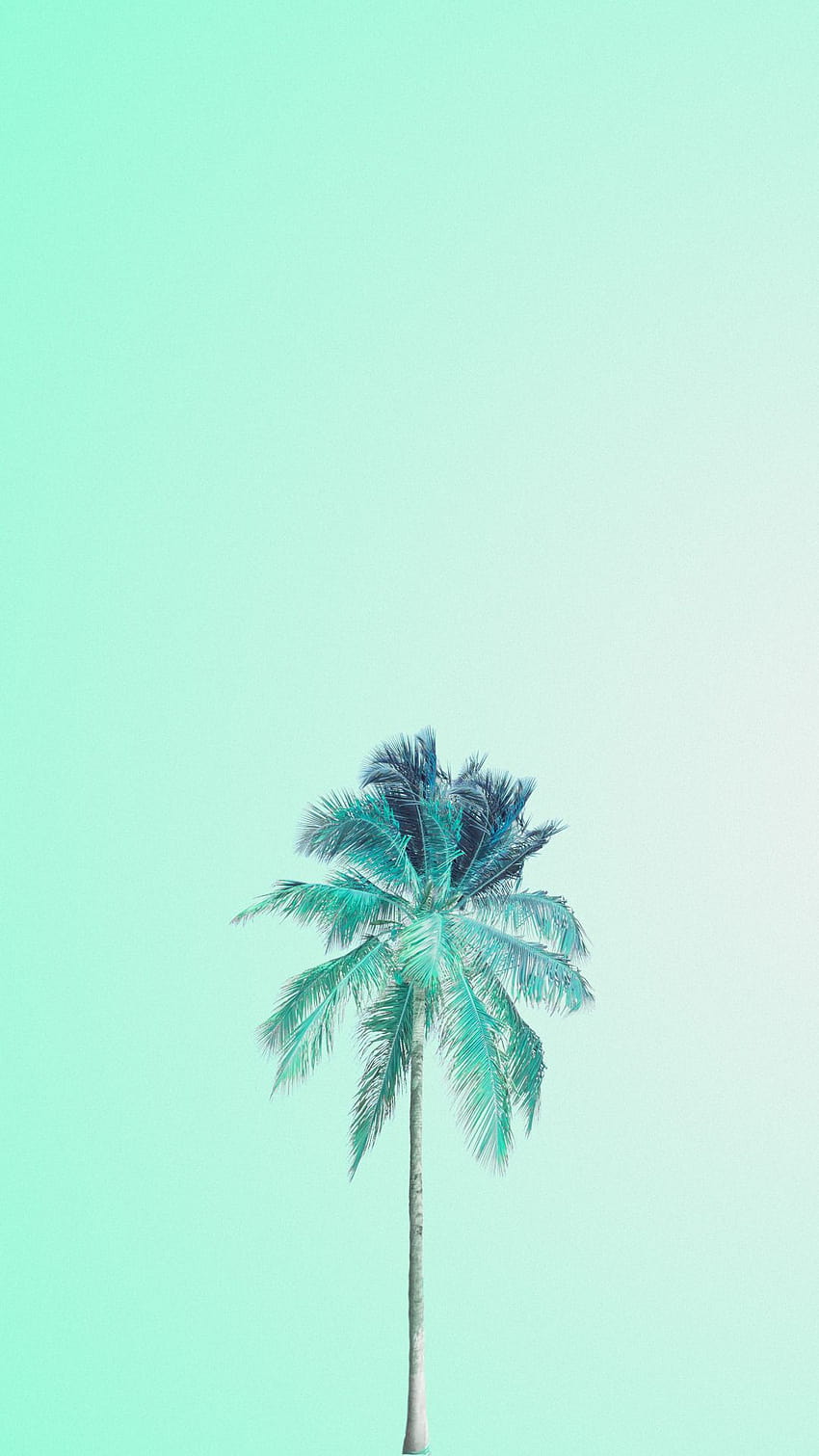 Koleksi Green Iphone Tumblr, estetica biru tosca Sfondo del telefono HD