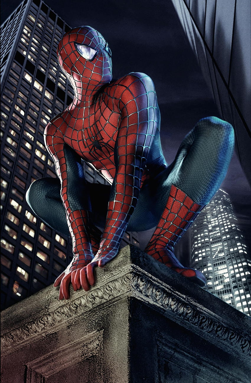 Spinne, Peter Parker und mj HD-Handy-Hintergrundbild
