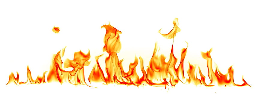 Fire flames isolated on white backgrounds, flame background png HD wallpaper