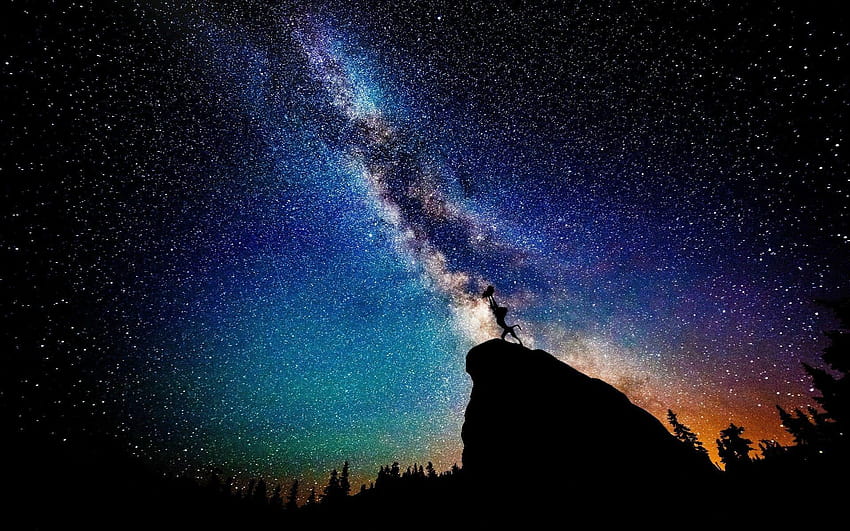 nebula, Cliff, Silhouette, The Lion King, Stars, Night, Milky Way, night king HD wallpaper