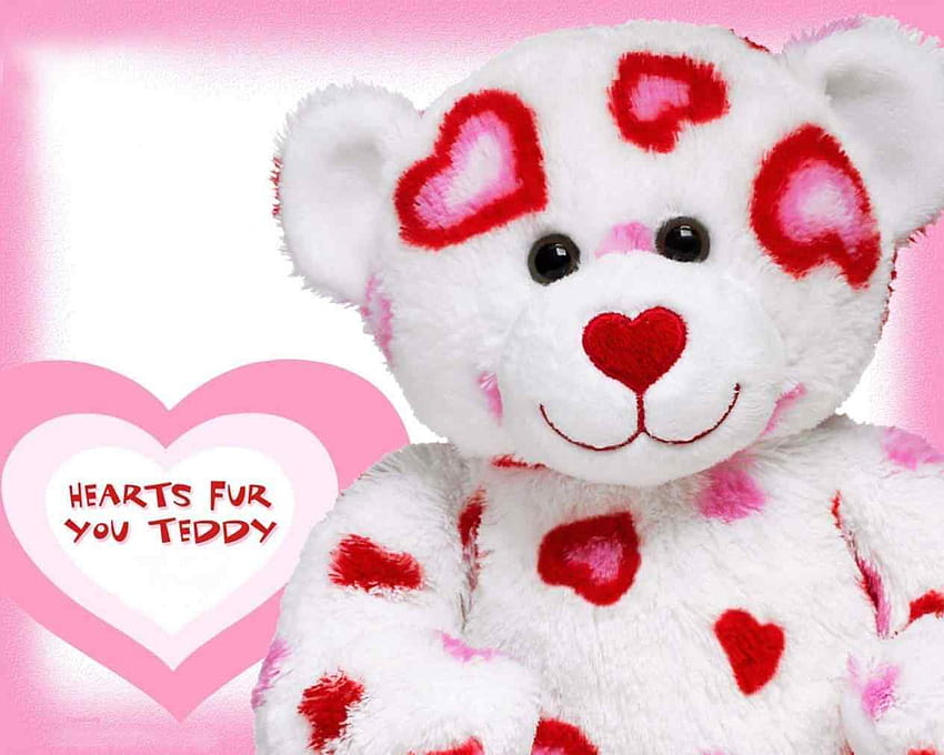 Lovely And Beautiful Bear Teddy Bears With, latest teddy bears HD wallpaper
