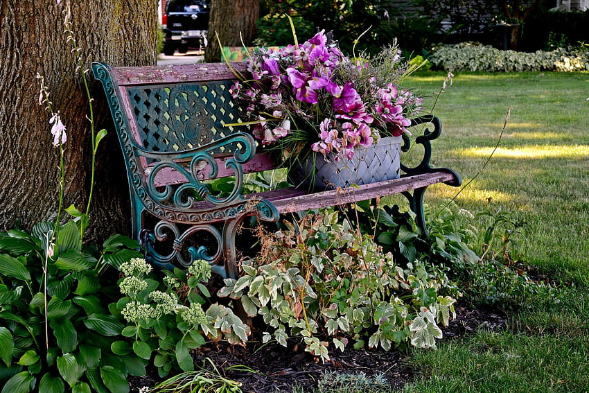 Flowers: Beautiful Flowers Bench Summer Scene Cozy Scenic Flower, beautiful summer scenery HD wallpaper