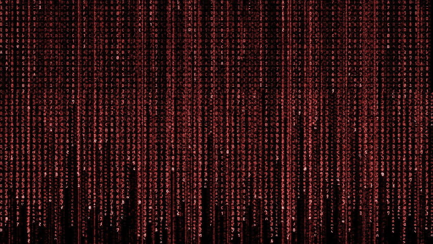 4 Matrix Code, red matrix HD wallpaper