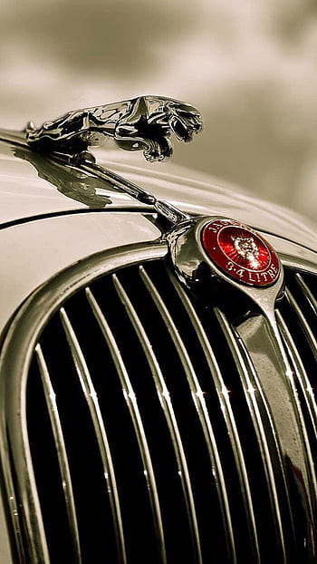 Jaguar Car Logo For, Old Jaguar HD wallpaper | Pxfuel