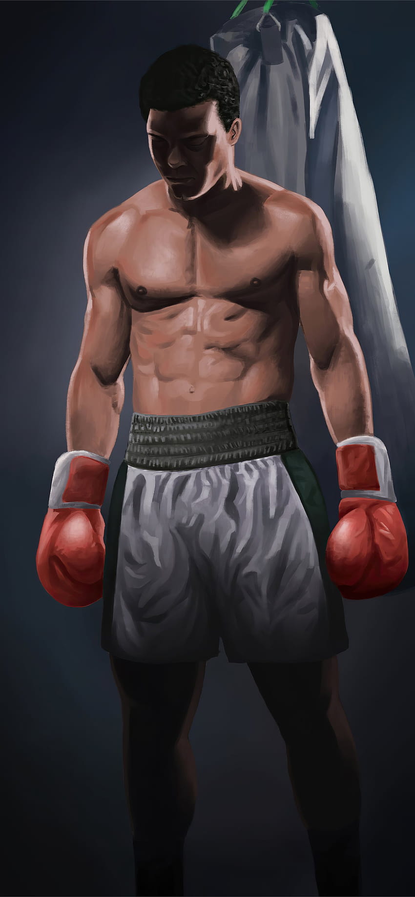 ボクシング iPhone HD電話の壁紙