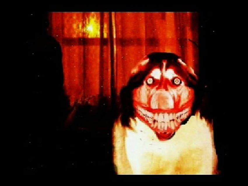 Smile.Dog, creepypasta dog scary HD wallpaper
