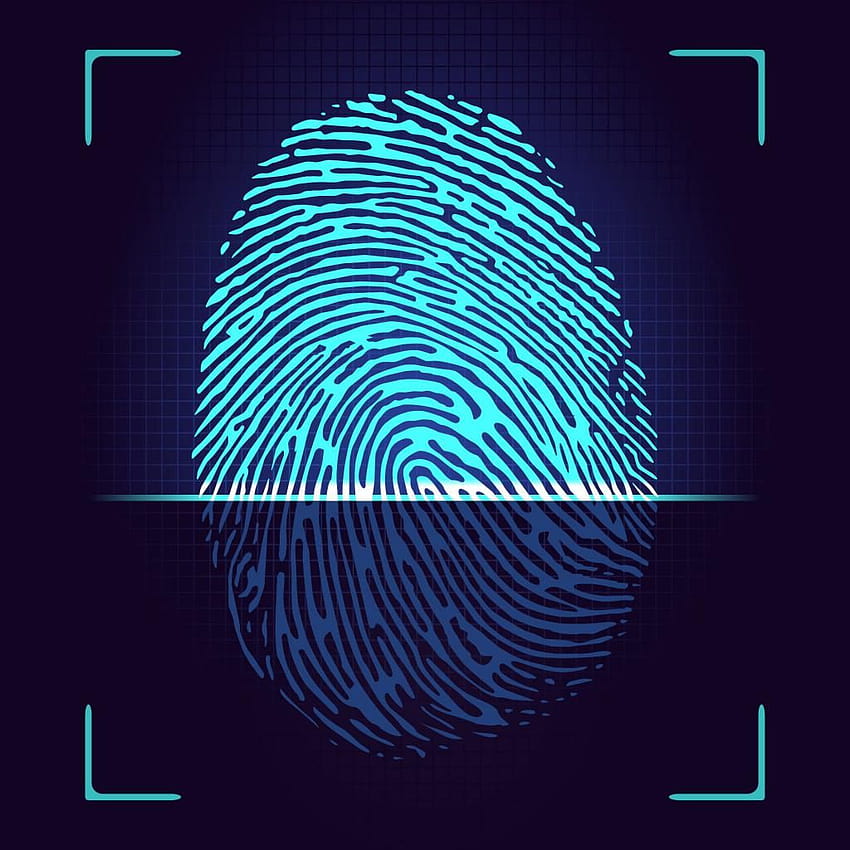 How AFIS Fingerprint System Is Beneficial For Enterprises?, biometrics HD phone wallpaper